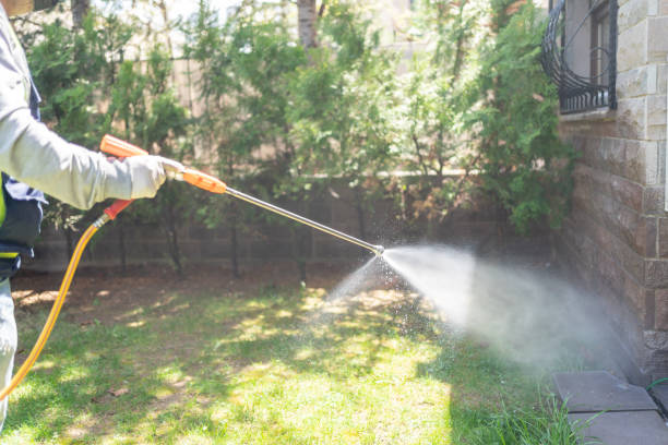 Indoor Pest Control